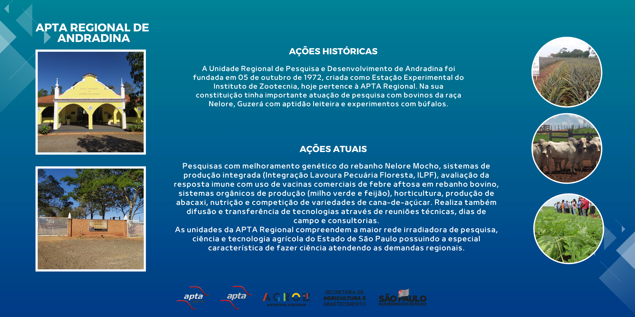 APTA REGIONAL DE ANDRADINA
